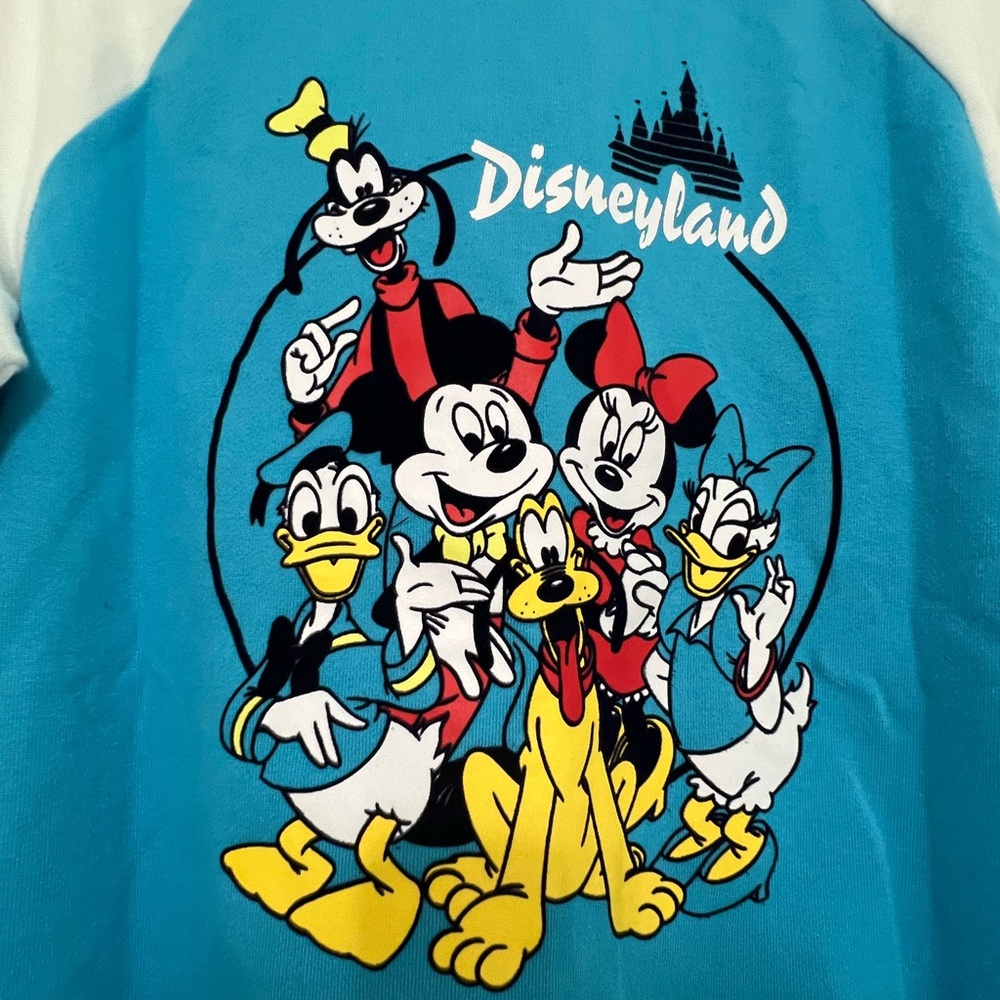 Disneyland Zip Up Hoodie, Mickey and Friends Multiple Sizes!